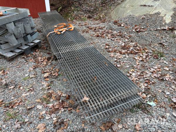 Galler i olika storlekar