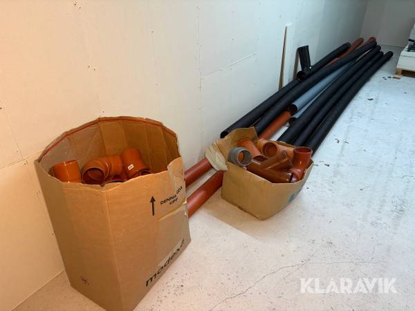 Parti med markrör, böjar & skarvar